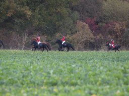 IMG_9741web